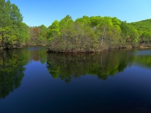 Fresh Verdure