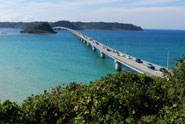 Tailor made Japan Tours