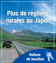 Car Rentals