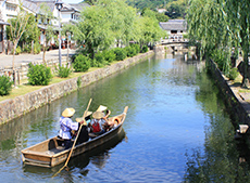 Guided tours depart from Kyoto