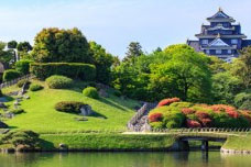 
						Visita i giardini giapponesi