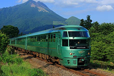 
						Viaggi in treno