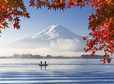 Autumn Tours