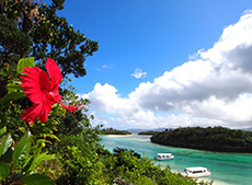 Islands Tours