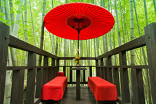 Air France Flights to Tokyo Special offer from £550. Sales until 31MAR