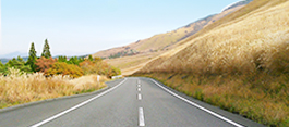 Car Rentals