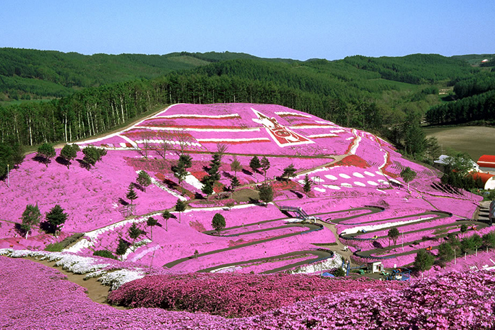 Higashimokoto Shiba-Zakura Park