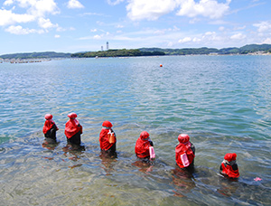 Isola Iki