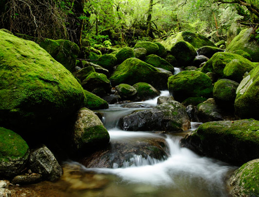 Hidden Japan: Discover Kyushu (via Yakushima)