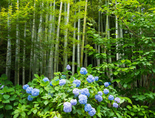 Meigetsu-in