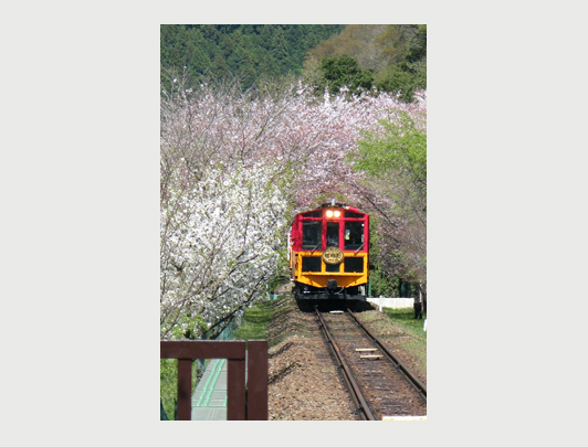 Sagano, Kyoto