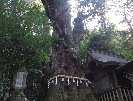 Santuario Ogo sha