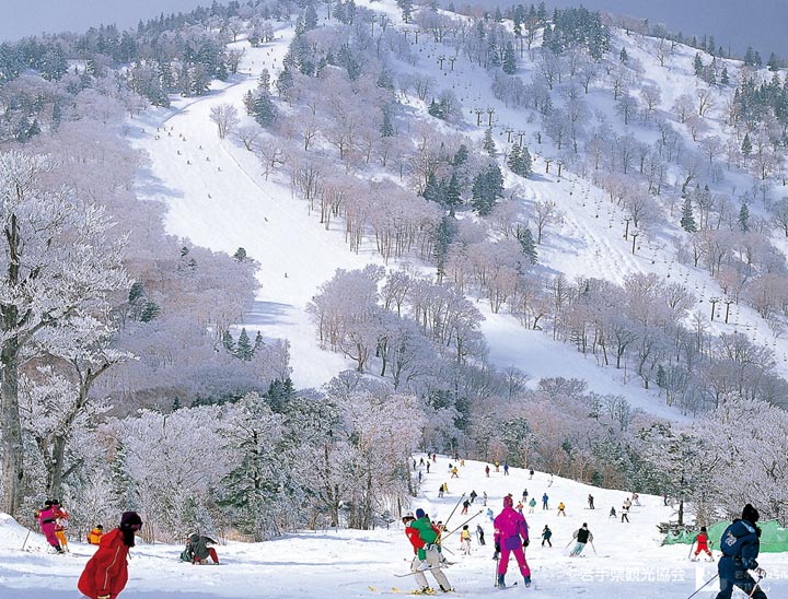 Appi Kogen Ski resort