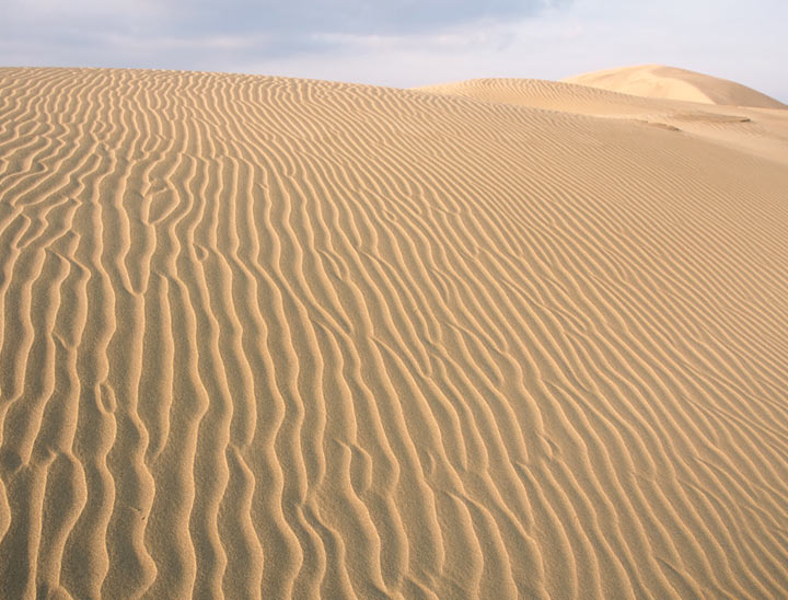 Tottori Sakyu (sand dunes)