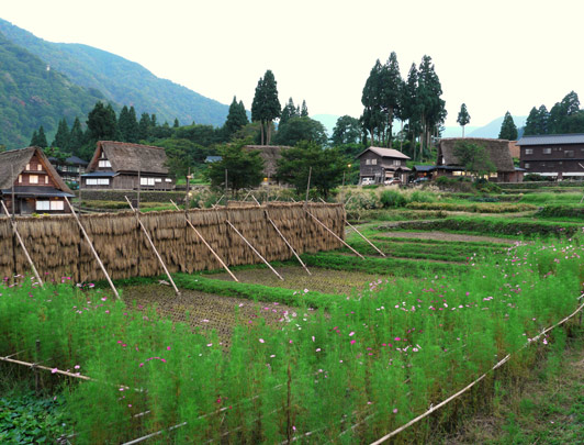 Gokayama