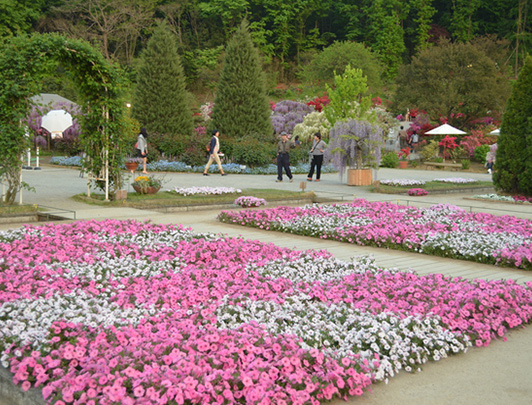 Parco Floreale Ashikaga