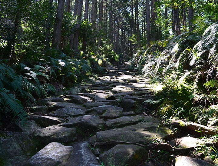 Sacred Sites and Pilgrimage Routes in the Kii Mountain Range