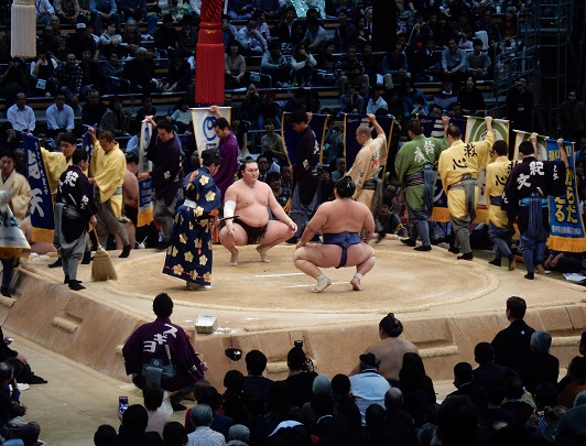 Sumo