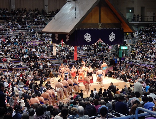 Sumo