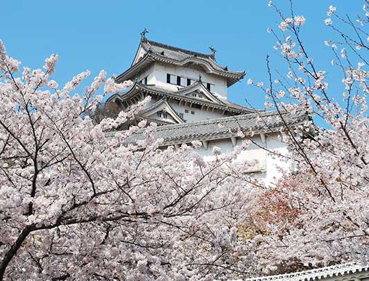 Spiritual experience in the countryside of Nara