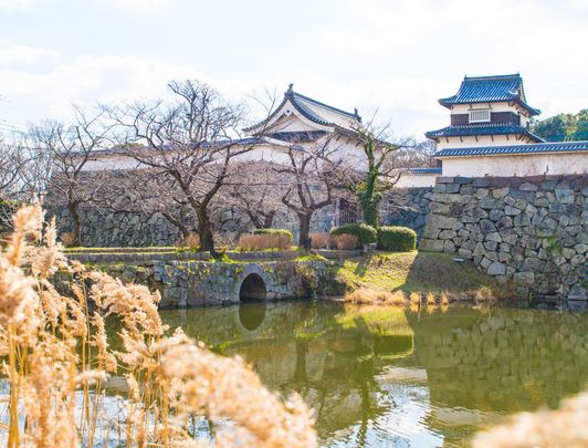 Château de Fukuoka et jardin de Maizuru