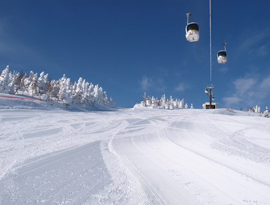 Shiga Kogen Ski Tour from Nagano